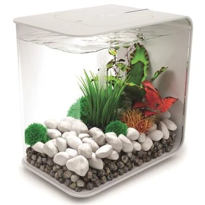 biOrb Nano-Aquarium Komplett-Set FLOW 30 LED weiß - Bild 1 von 3