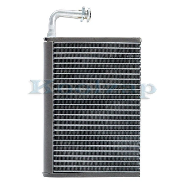 Núcleo evaporador delantero aire acondicionado para BMW X5 y 00-03 serie 5 525i 528i 530i 540i 00-06 Foto 1 de 4