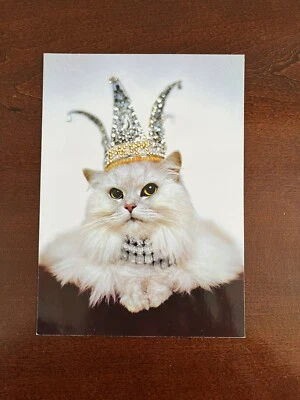 Cat With Crown Funny Mother’s Day Card by Avanti Press - Image 1 of 3