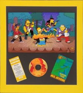 "How I Spent My Strummer Vacation" Simpsons Homer Gitarre Limited Edition Kunst CD - Bild 1 von 3