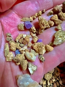 SAPPHIRE - Rough Stone Mix GEMSTONE PAYDIRT 2LB Gem Pay Dirt Concentrate Mining - Picture 1 of 3