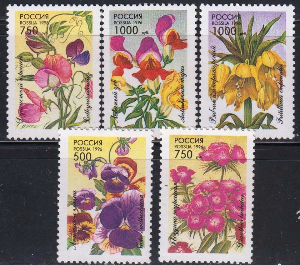 Russia 1996 Mi.#480-84 Flowers set of 5 stamps MNH - Image 1 of 1