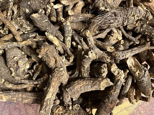 Osha Roots ( Ligusticum porteri ) - Picture 1 of 5