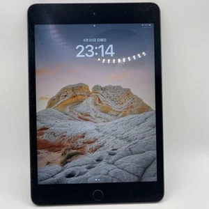 iPad mini wifi model 5th generation m29754071900 - Picture 1 of 1