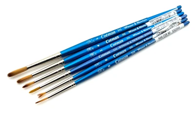 Winsor & Newton: Lote de pinceles de pintura Cotman - 6 pinceles, estilos y tamaños surtidos Foto 1 de 4