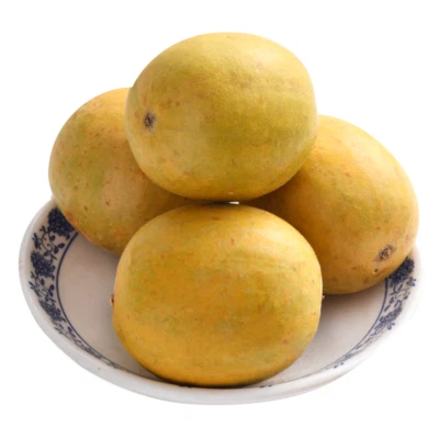 MONK FRUIT SIRAITIA GROSVENORII 50pcs dried under 42 degrees Celsius