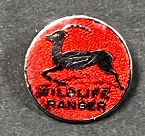 WILDLIFE RANGER Pin Badge - Picture 1 of 2