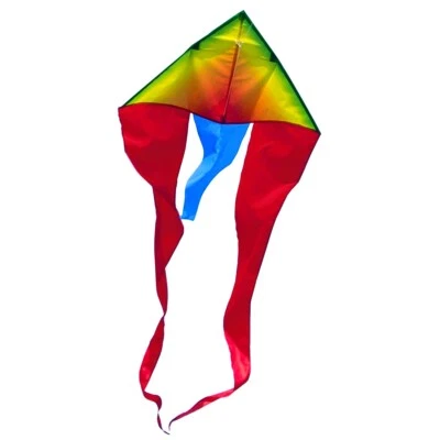 CIM Drachen F-Tail Rainbow MUSTHAVE Einleiner-Flugdrachen inkl. Drachenschnur - Bild 1 von 4