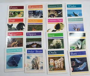Lot of 16 Rigby PM Animal Facts Books Readers Early Learning Homeschool - Picture 1 of 10