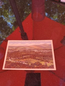 Blick nach Wilmington vom Feuerturm auf dem Mount Olga, Molly Shark Trail... - Bild 1 von 2