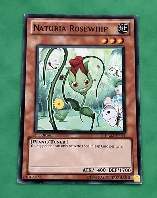 Yu-Gi-Oh! Naturia Rosewhip HA02-EN041 1st Edition Super Rare LP - Image 1 of 2