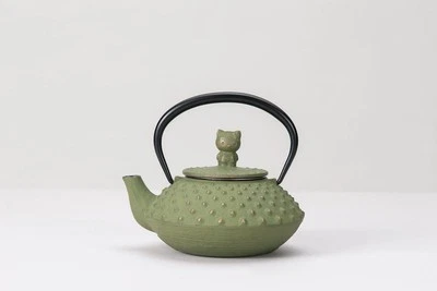 Iwachu Nambu Tekki Cast Iron Teapot 320ml Hello Kitty Gold Young Grass Green - Image 1 of 3