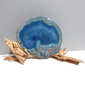Agate Geode Slice On Driftwood - Picture 1 of 15