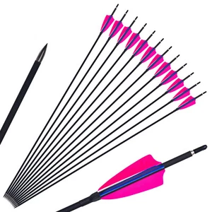 30'' Archery Carbon Arrows Real Feather Compound/Recurve Bow Hunting Arrows - Picture 1 of 24