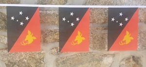 Papua New Guinea Flag Bunting - 6m With 20 Flags - Picture 1 of 4