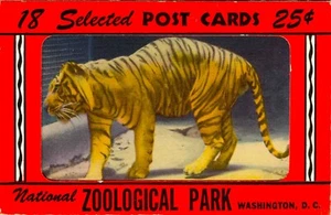 18 postales seleccionadas Parque Zoológico Nacional Washington, DC en muy buen estado 1948 - Imagen 1 de 4