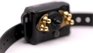 CPAD-005 Hunde Erziehungshalsband Komfortpolster reduziert Reizempfindlichkeiten - Bild 1 von 5