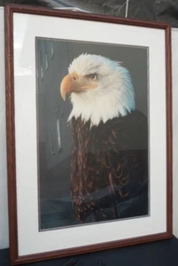 Thomas Mangelsen "Bald Eagle" Signed Original Print Numbered Framed - Picture 1 of 7