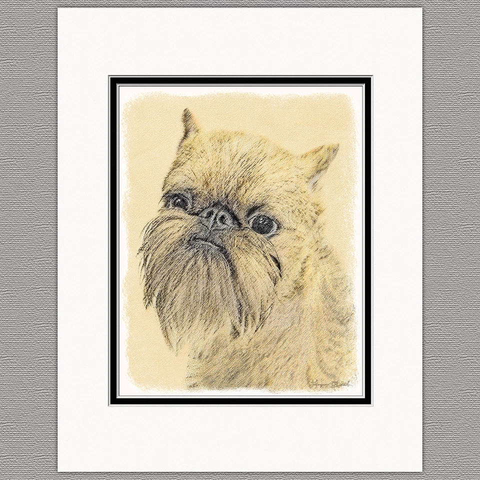 Impresión artística original áspera Brussels Griffon Bruxellois 8x10 mate a 11x14 Foto 1 de 1