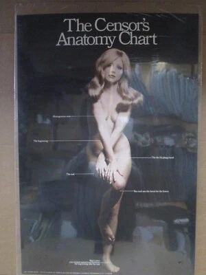 Cartel modelo vintage Hot Girl CENSOR'S ANATOMY CHART 1971 garaje de autos Inv#G7540 Foto 1 de 4