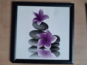 Orchideen Bild mit Rahmen 37cm x 37cm - Bild 1 von 1