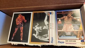 1991 Kayo Boxing Trading Cards + RC - Complete Your Set (1-250) - PICK & CHOOSE - Picture 1 of 1