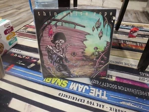Thin White Rope In the Spanish Cave (Vinyl) 12" Album- Timing - VG+ - Picture 1 of 1