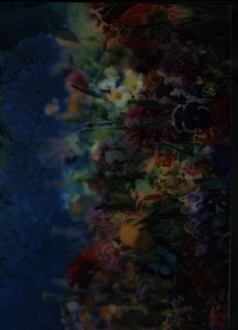 earthly flowers, heavenly colors ([text]) - Picture 1 of 1