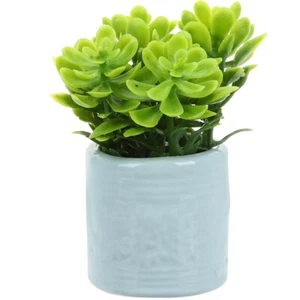 Miniature Potted Plant Tiny Potted Plant Miniature Decoration Miniature Bonsai - Picture 1 of 12