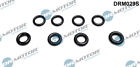 Dr.Motor Automotive DRM029S Seal Ring Set, injector for CITRON FIAT LANCIA PEUG