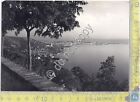 Cartolina - Postcard  - Trieste - Panorama - 1952