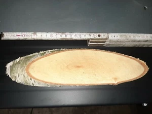 3x Birkenscheibe groß oval Birke Birkenholz naturbelassen Gesteck Unterlage DEKO - Bild 1 von 2