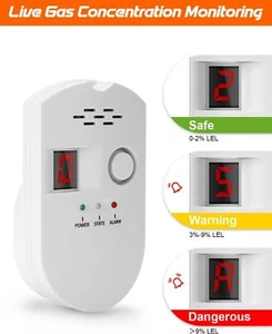 Natural Gas Leak Detector, Carbon Monoxide Detector with Audible & Visual Alarm - Picture 1 of 14