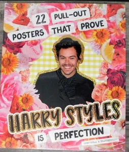 HARRY STYLES Pull Out Posters:” 22 Posters that Prove Harry Styles is Perfection - Picture 1 of 3