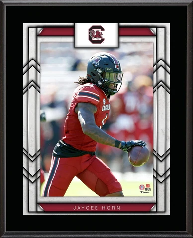 Jaycee Horn South Carolina Gamecocks 10.5" x 13" Player Plaque Cover