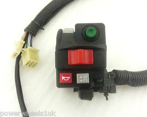 SGE16 START KILL HORN LIGHTS INDICATOR CHOKE BASHAN BS250S-11B 250CC QUAD BIKE - Picture 1 of 3