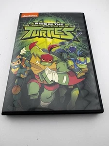 Rise Of The Teenage Mutant Ninja Turtles (DVD) 2018. CD and Case Only - Imagen 1 de 4