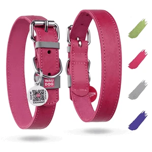 WAUDOG Long Lasting Leather Dog Collar for Large Dogs Medium & Small Dogs - Picture 1 of 6