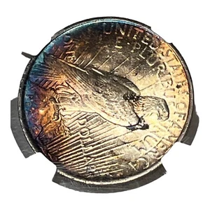 Dólar de la Paz 1922 sin circular Detalles - Precioso tono arco iris inverso GRADUADO SIN CIRCULAR - Imagen 1 de 5