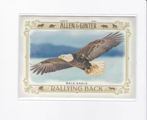 BALD EAGLE 2021 ALLEN & GINTER RALLYING BACK (FROM EXTINCTION) INSERT CARD - Picture 1 of 21