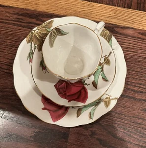 Englische Rose Teetasse Untertasse & Wüstenteller Royal Standard feiner Knochen Englisch China - Bild 1 von 13
