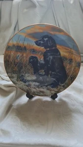 Beautiful Labrador Retriever Sporting Dogs Collectors Plate Free Postage - Picture 1 of 6