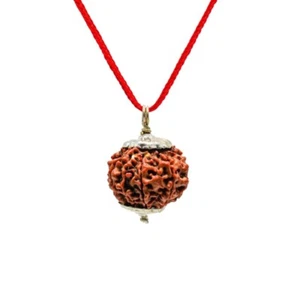 11 (Once) Mukhi Rudraksha Medallón Java Rudraksha Colgante de Plata Ompoojashop - Imagen 1 de 2