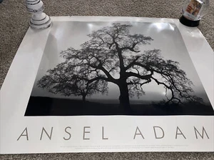 Ansel Adams Oak Tree, Sunset City, California Black & White Embossed Print - Picture 1 of 6