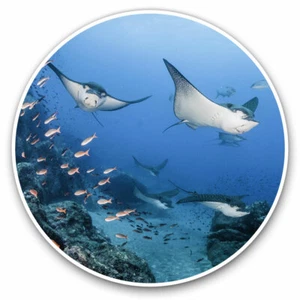 2 x Vinyl Stickers 20cm - Black Spotted Eagle Manta Ray Cool Gift #21244 - Afbeelding 1 van 9