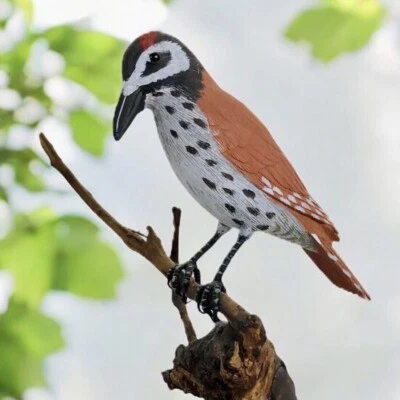 Escultura de arte popular tallada a mano de pájaro en rama ojos de vidrio plumas rojas manchadas Foto 1 de 4