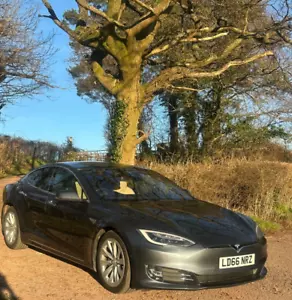 2016 Tesla Model S 60D - Picture 1 of 7