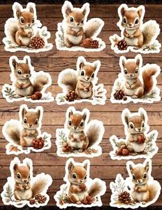 Woodland Squirrel Die Cut Vinyl Stickers Set Scrapbooking Laptop Waterbottle - Picture 1 of 1