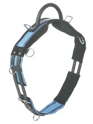  Busse Longiergurt mit Handgriff zum Longieren ohne Sattel MSh, Sh, P, VB/WB - Bild 1 von 2