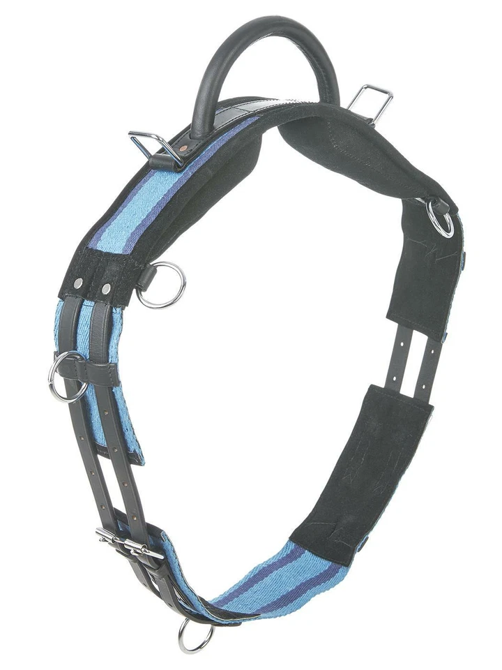  Busse Longiergurt mit Handgriff zum Longieren ohne Sattel MSh, Sh, P, VB/WB - Bild 1 von 2